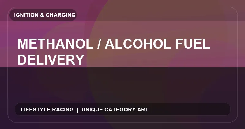 Methanol / Alcohol Fuel Delivery